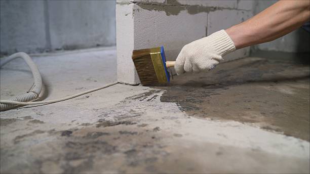 Top rated local Crawl Space Encapsulation specialists in Wortham, TX